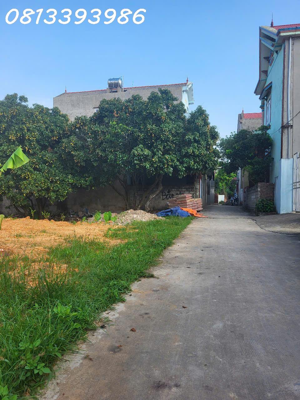 🏠 Đất Đẹp Giá Tốt – Sát Chợ, Đầy Đủ Tiện Ích – Không Mua Là Tiếc! - Ảnh 4