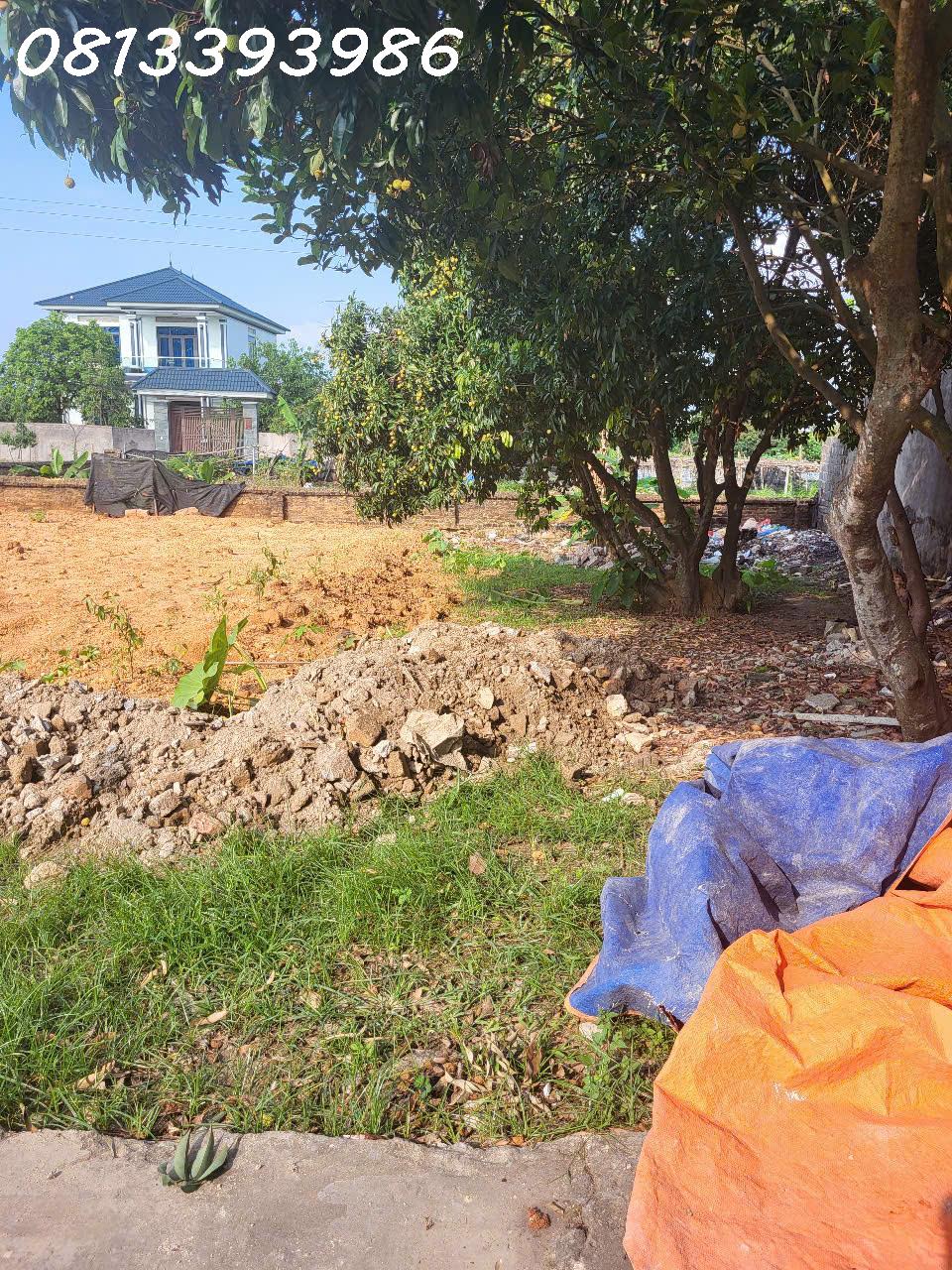 🏠 Đất Đẹp Giá Tốt – Sát Chợ, Đầy Đủ Tiện Ích – Không Mua Là Tiếc! - Ảnh 2