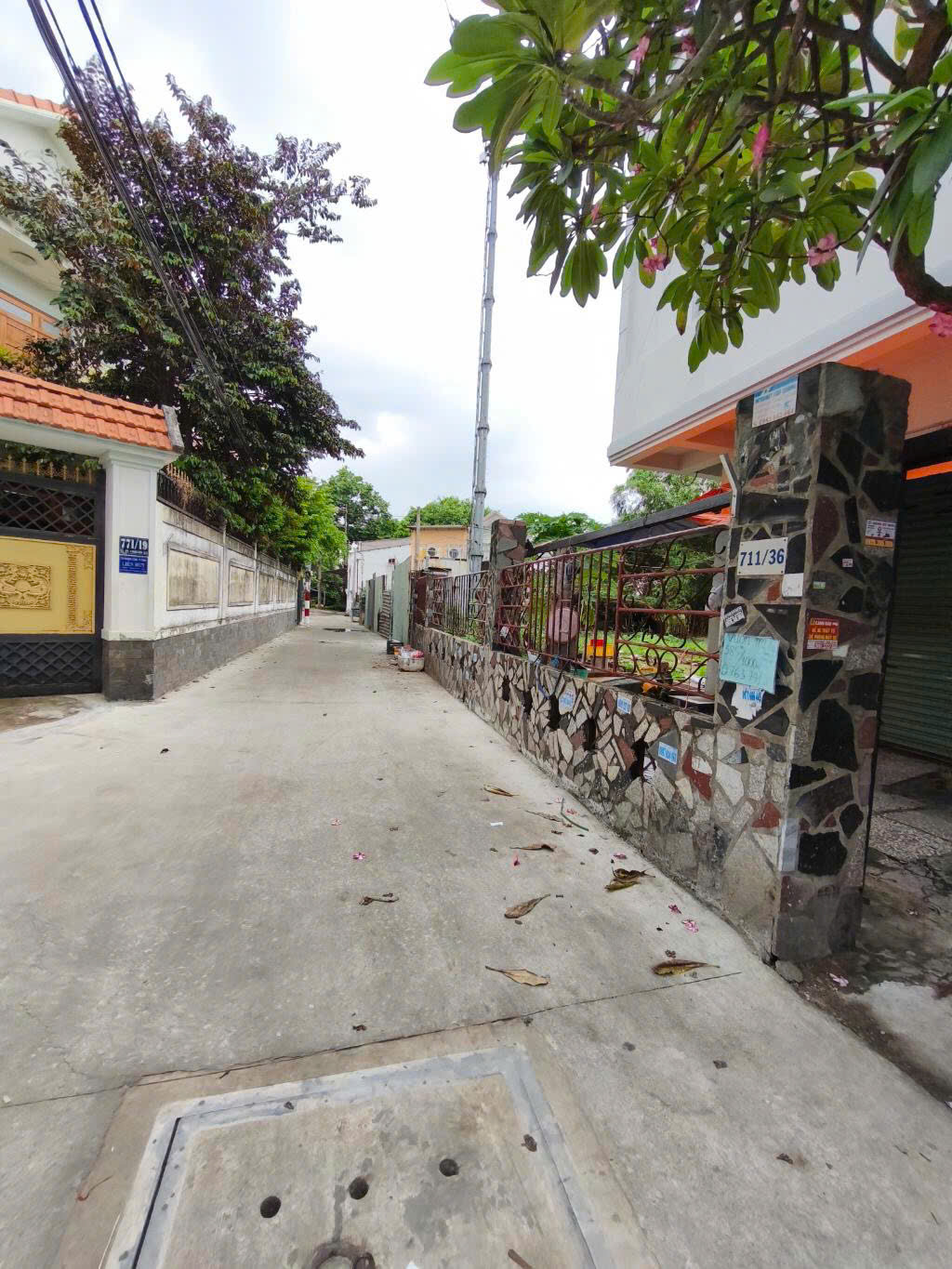 ☘️Bán Nhà Cấp 4 Khu Nam Long Quận 12 Giáp Gò Vấp 100m2(5x20) 2PN HBG- 3,6tỷ - Ảnh chính