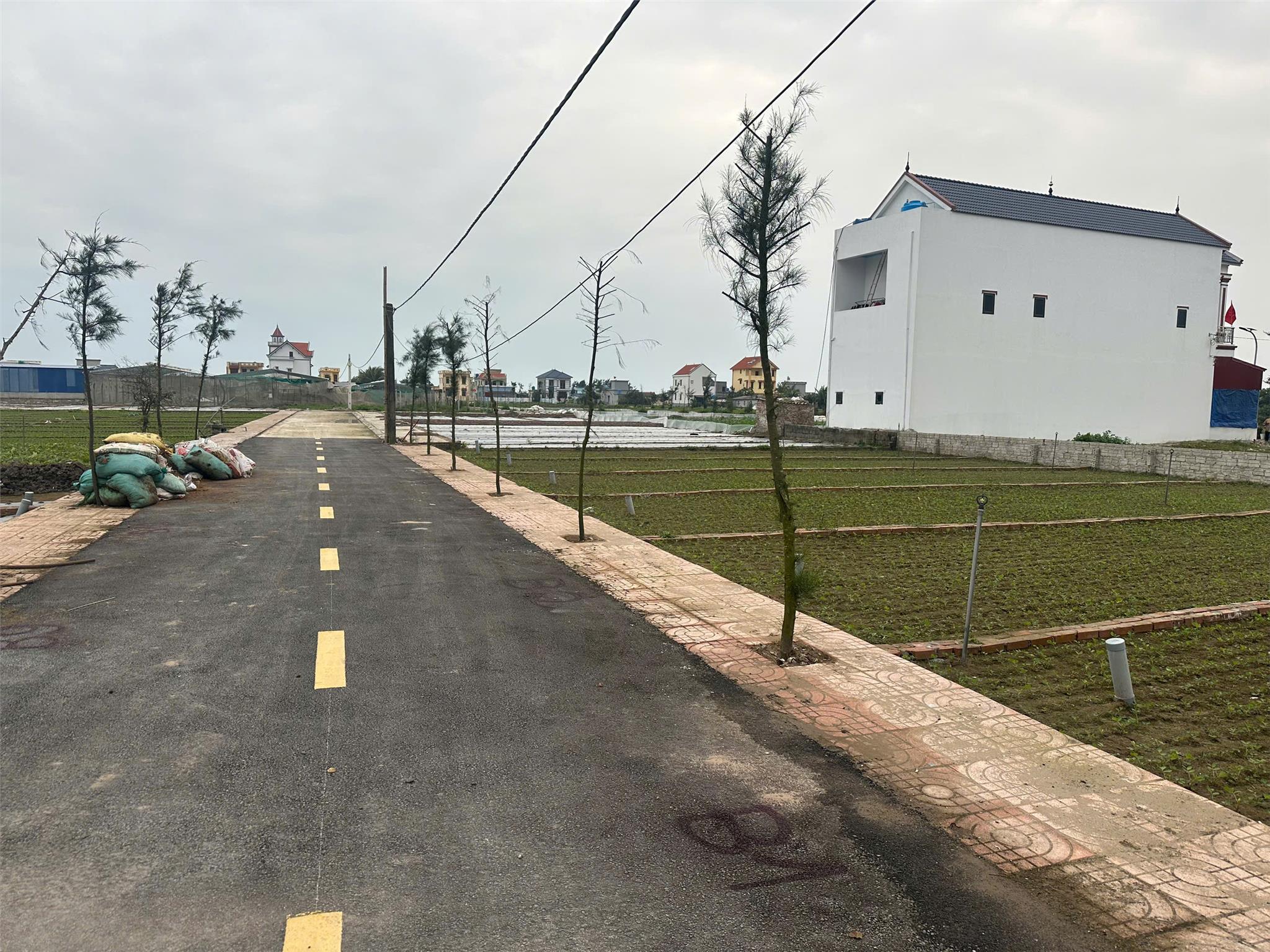 Chính chủ bán đất nền ven biển Quất Lâm full thổ cư - Ảnh 3