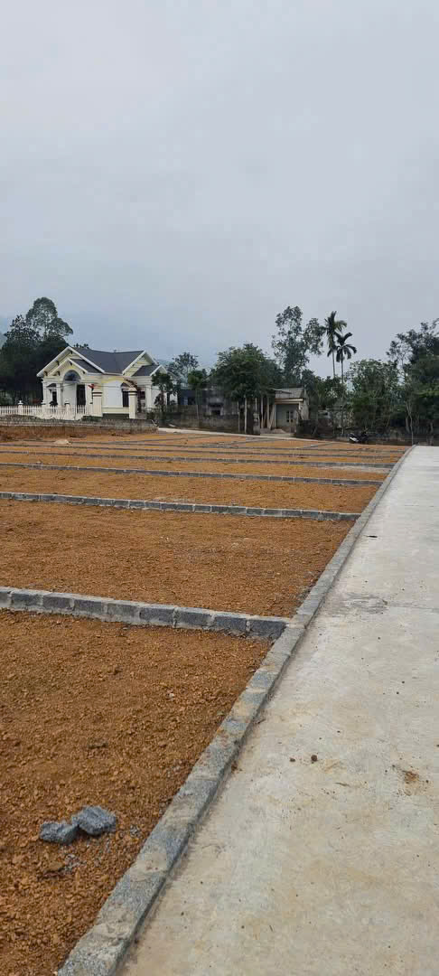 CHÍNH CHỦ BÁN LÔ ĐẤT ĐẸP 112M² TẠI XÃ TU VŨ – THANH THỦY – PHÚ THỌ - Ảnh 1