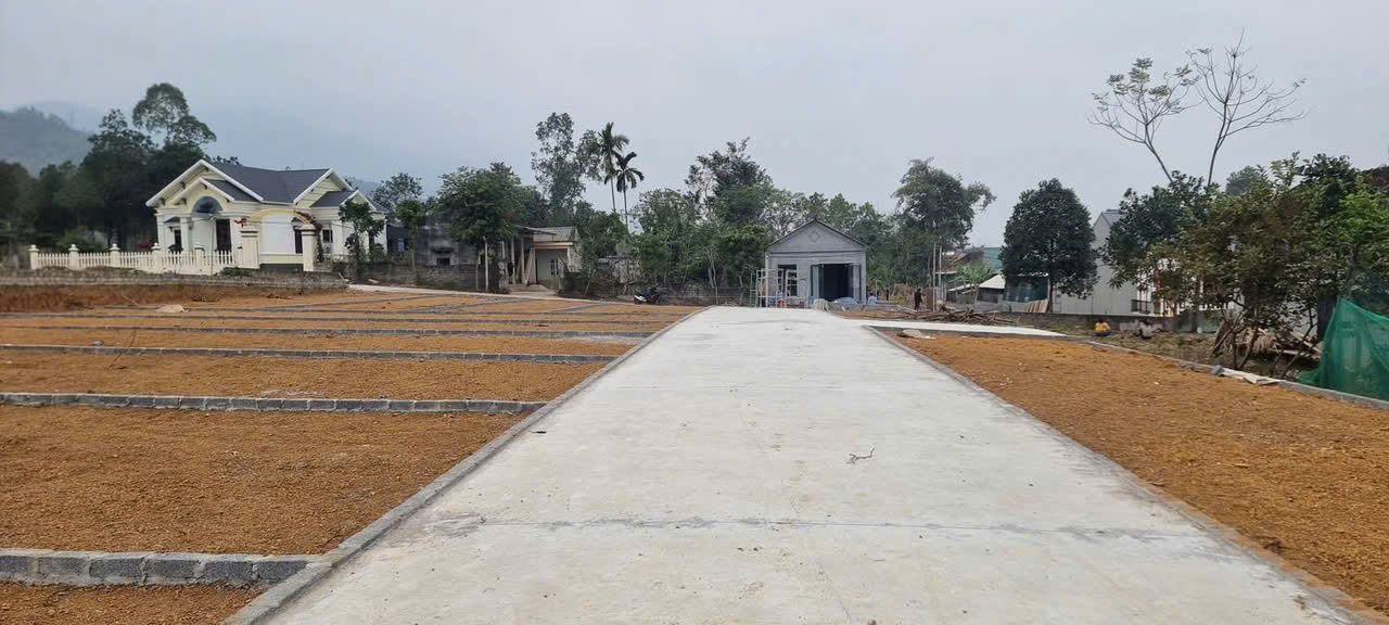 CHÍNH CHỦ BÁN LÔ ĐẤT ĐẸP 112M² TẠI XÃ TU VŨ – THANH THỦY – PHÚ THỌ - Ảnh chính