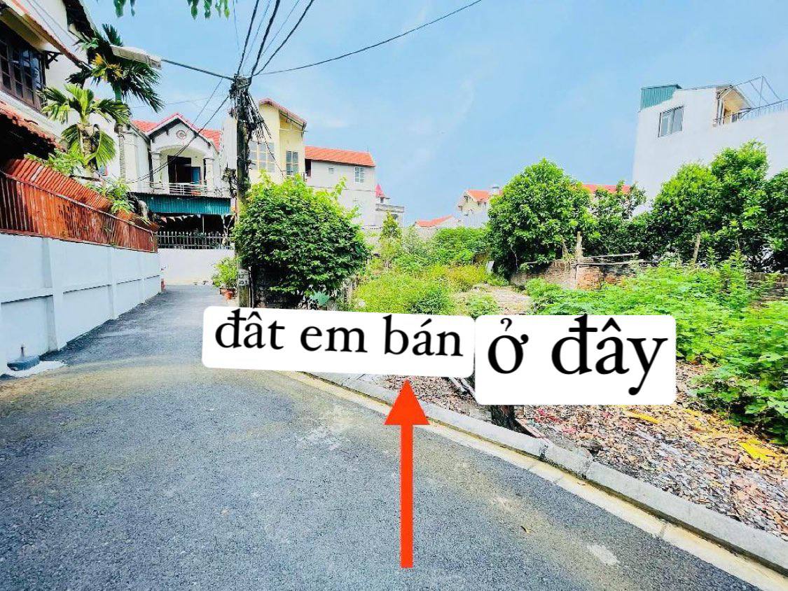 Bán đất Đa Tốn Gia Lâm - diện tích rộng xây nhà vườn, đối diện Vin Ocean park 1 - Ảnh chính