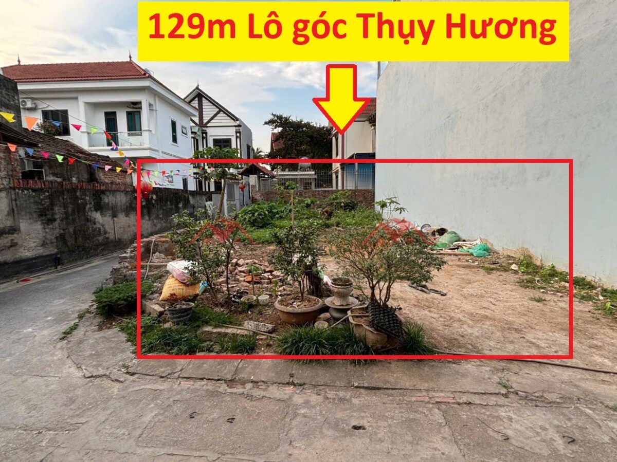 CHÍNH CHỦ BÁN LÔ ĐẤT 129M TẠI THỤY HƯƠNG-CHƯƠNG MỸ-HÀ NỘI - Ảnh chính
