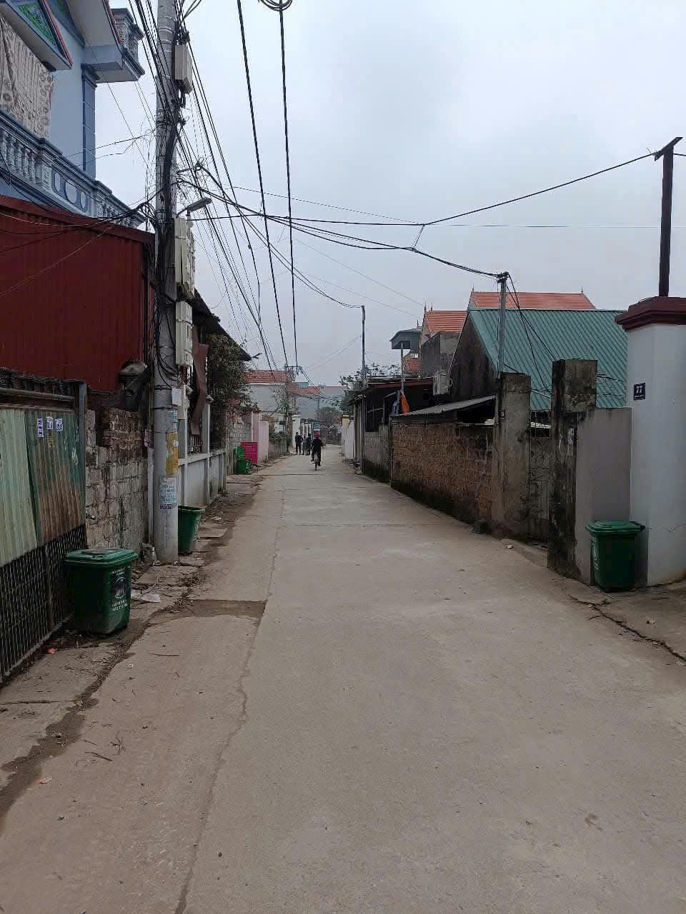 Siêu phẩm Đất Nội Thôn, Vân Tảo, Thường Tín 100 5 3.9 tỷ - Ảnh 1