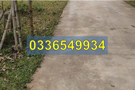 ⭐Cần bán nhanh đất thổ cư tại xã Nghi Văn, Nghi Lộc, Nghệ An, 410tr, 0336549934 - Ảnh 2