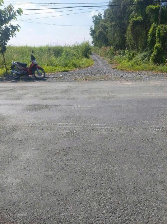 Chính Chủ Bán Gấp Đất Mặt Tiền Tỉnh Lộ 865 Tân Phước, Tiền Giang. - Ảnh chính