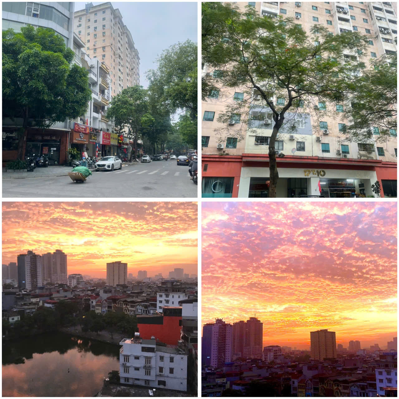 CHÍNH CHỦ CHO THUÊ CĂN HỘ CHUNG CƯ TÒA 17T10 ĐƯỜNG NGUYỄN THỊ ĐỊNH - Ảnh chính
