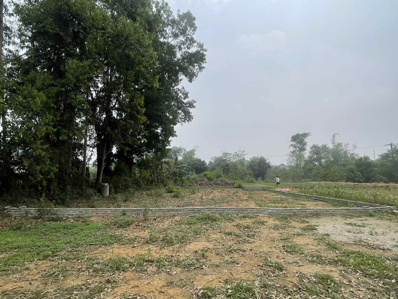 Chính chủ bán đất khu tái định cư Đồng Tầm, phường Bãi Bông, thành phố Phổ Yên, Thái Nguyên. - Ảnh 3
