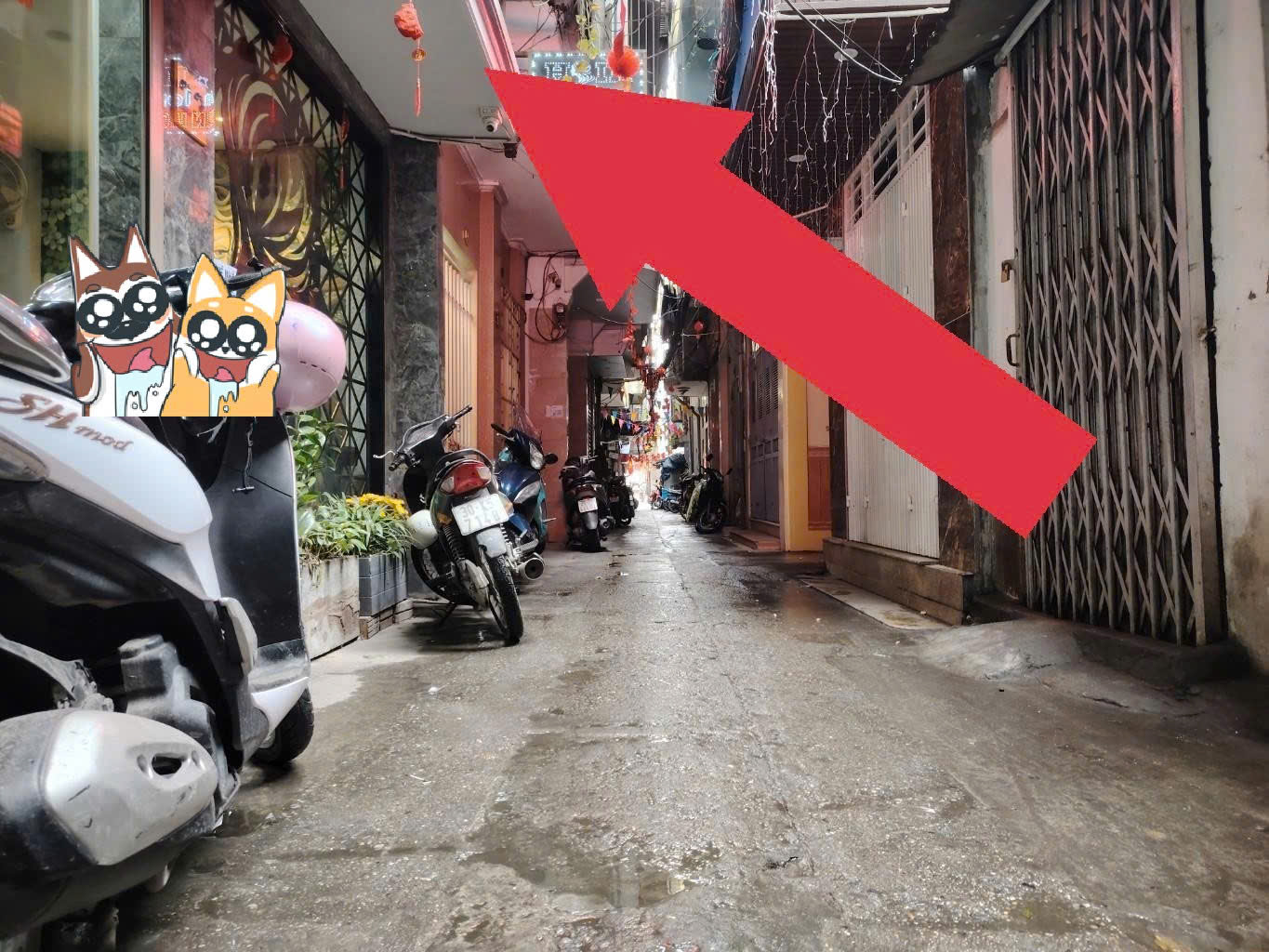 BÁN ĐẤT TẶNG NHÀ 2 TẦNG-5 PHÒNG NGỦ-20M RA ÔTÔ-48M2-5,2 TỶ-PHÚC XÁ-HOÀN KIẾM-BA ĐÌNH - Ảnh chính