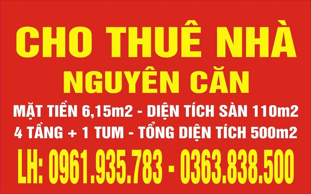 Chính chủ cần cho thuê nhà Nguyên Căn Mặt Tiền Rộng 6,15m Thuộc Số 66 - Hàng Cấp - Phường Quang - Ảnh chính