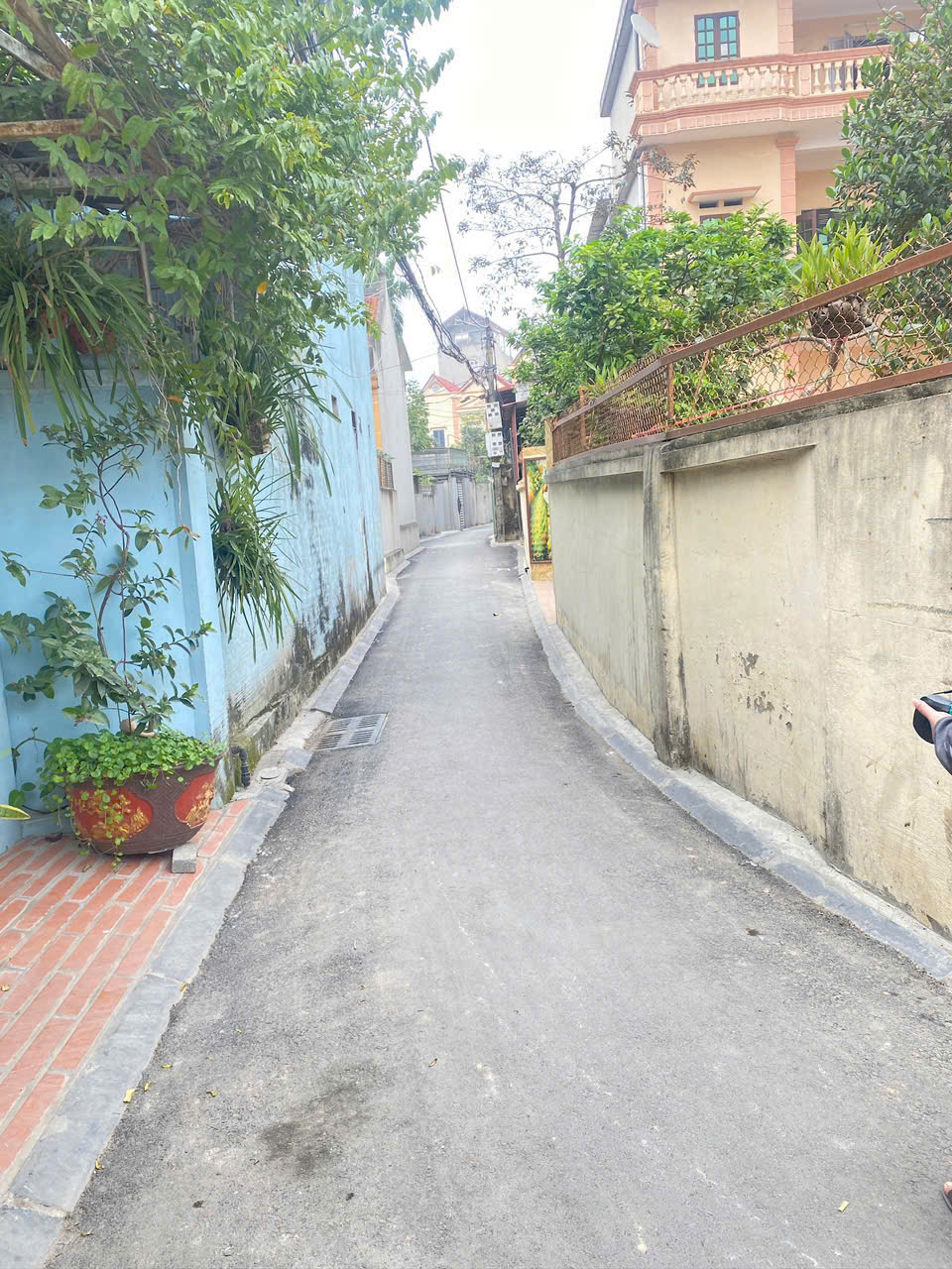 BÁN ĐẤT 80M2 XÓM NHỒI CỔ LOA ĐÔNG ANH - VỊ TRÍ ĐẮC ĐỊA FULL TIỆN ÍCH - Ảnh 3