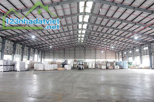NHẤT VIỆT LOGISTIC – CHO THUÊ KHO TẠI BÌNH DƯƠNG - Ảnh 3