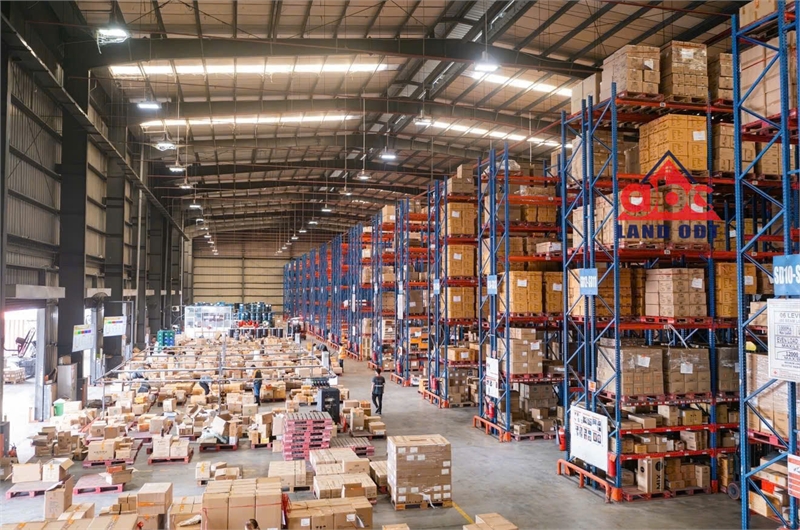 XT318 cho thuê kho bãi dịch vụ hậu cần logistic. khuôn viên rộng DT thuê đa dạng - Ảnh 2