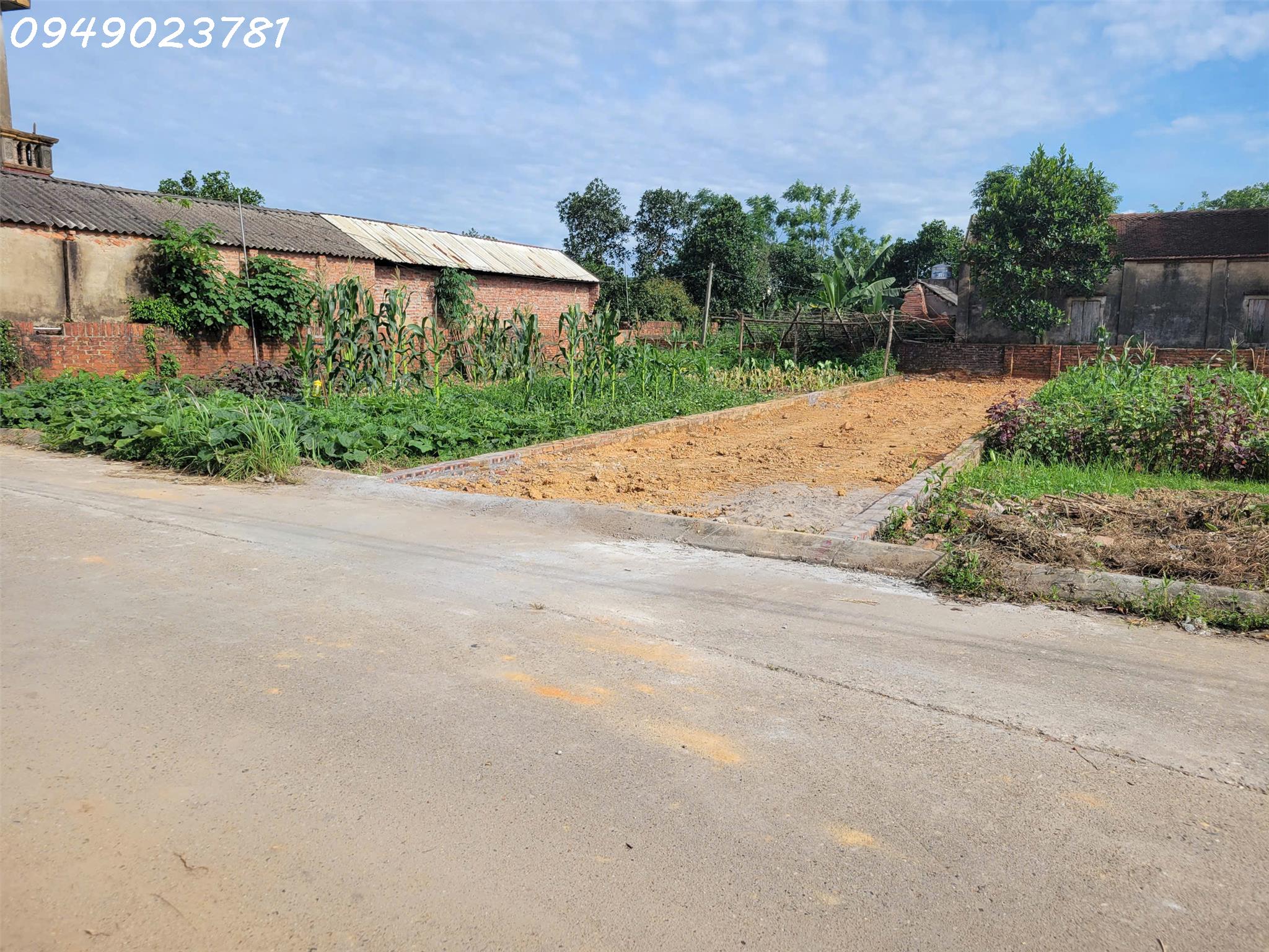 Cần tiền bán nhanh lô đất 112,5m2 xã Tân Minh, Sóc Sơn, Hà Nội, vị trí đẹp, giá đầu tư - Ảnh chính