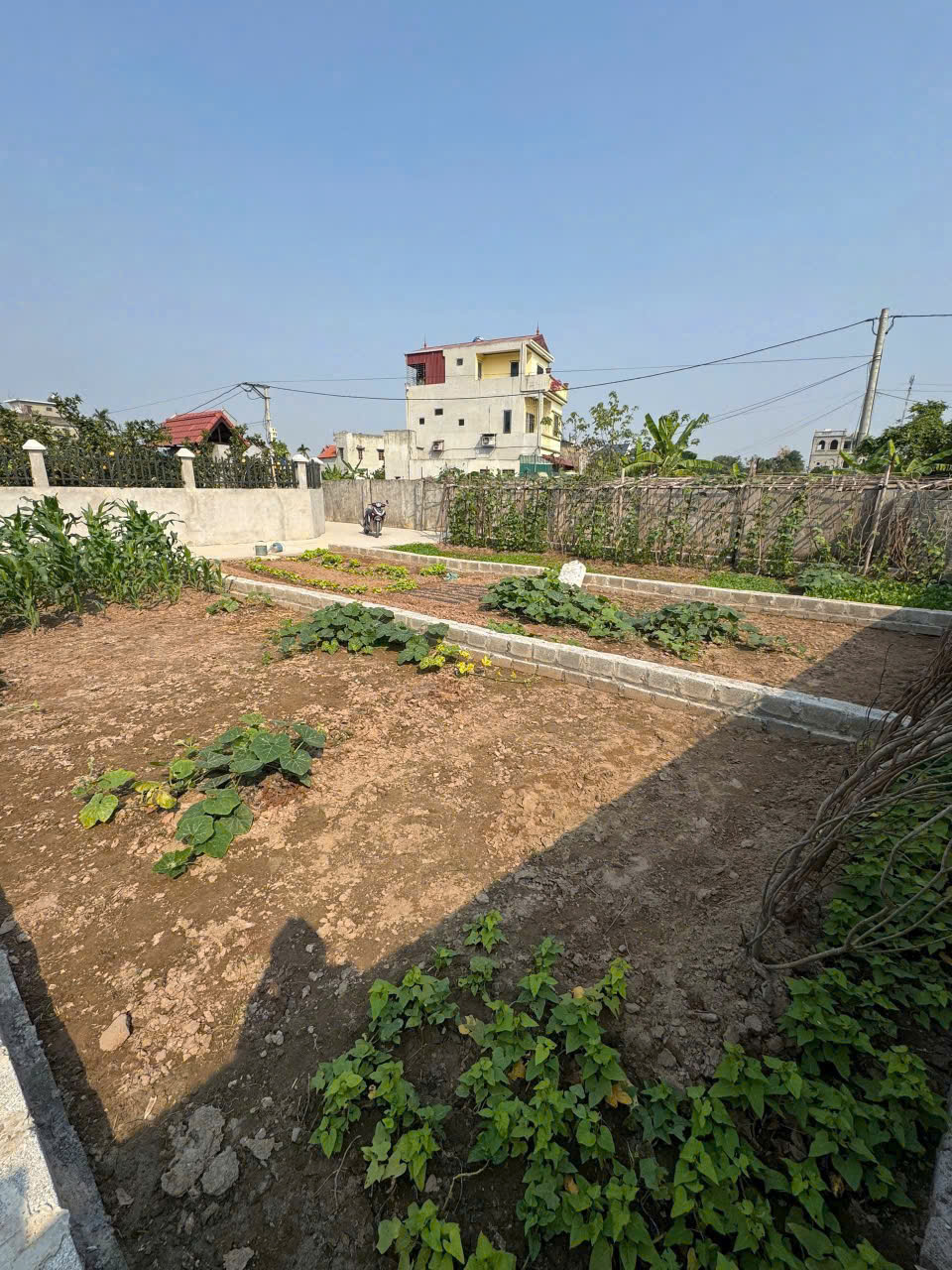 BÁN ĐẤT CHƯƠNG DƯƠNG – THƯỜNG TÍN – 50M² NỞ HẬU, Ô TÔ ĐỖ CỬA, GIÁ CHỈ 1 TỶ 480tr - Ảnh 2