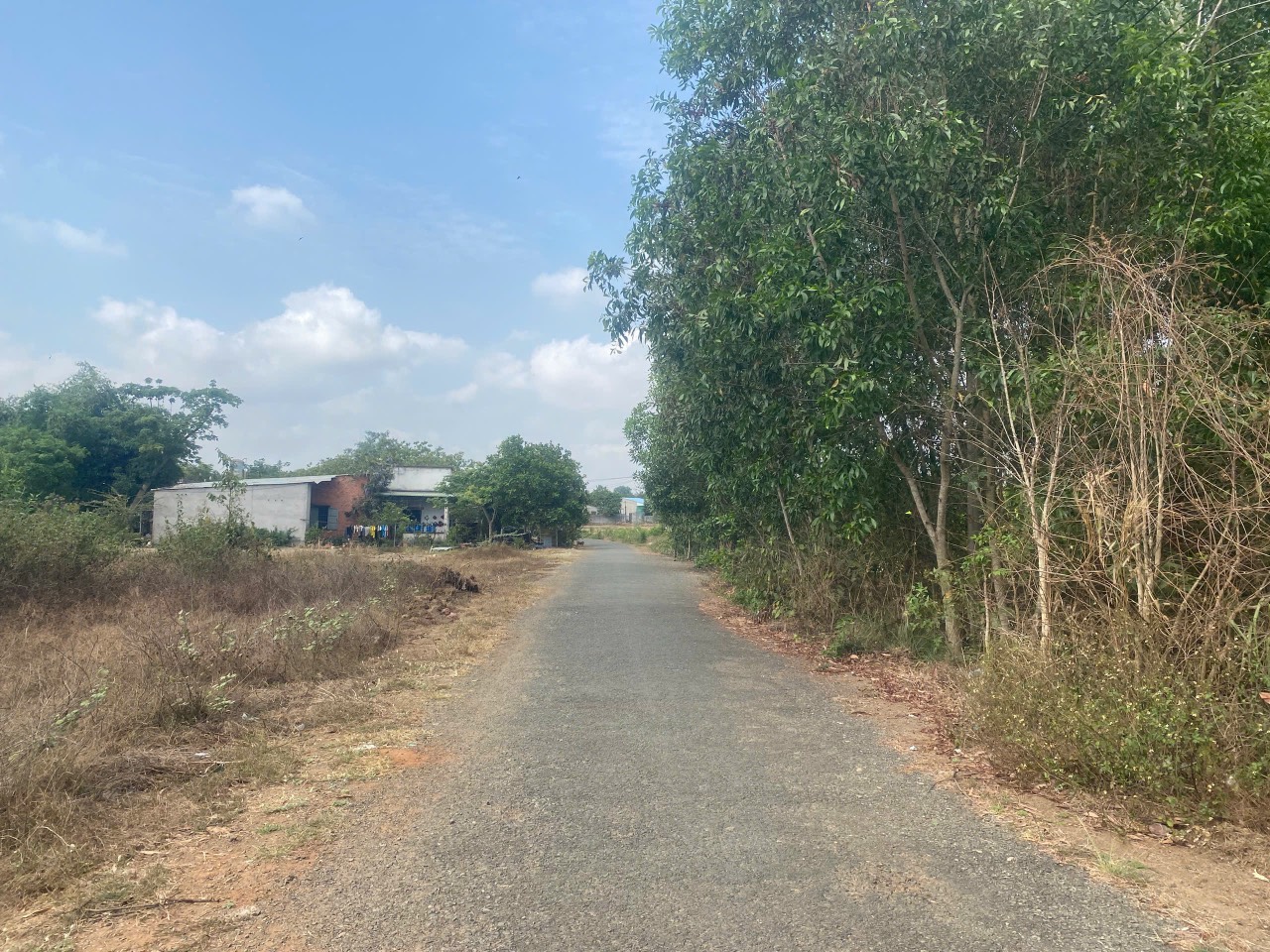 Bán lô đất đẹp 2978m2 (1300m2 thổ) xã Láng dài, Đất đỏ, Bà rịa - Ảnh 3