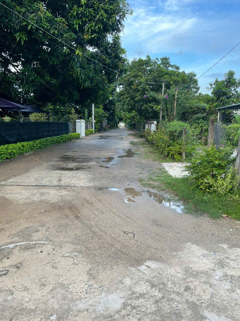 ĐẤT ĐẸP- GIÁ TỐT - CHÍNH CHỦ CẦN BÁN NHANH LÔ ĐẤT Cam Hiệp Nam, Cam Lâm, Khánh Hòa. - Ảnh 4