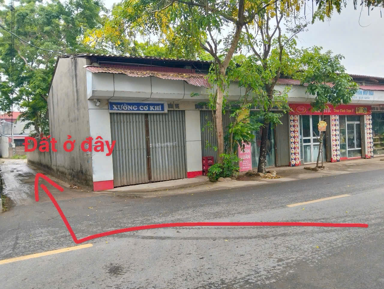 BÁN ĐẤT LẬP TRÍ MINH TRÍ - Ảnh 3