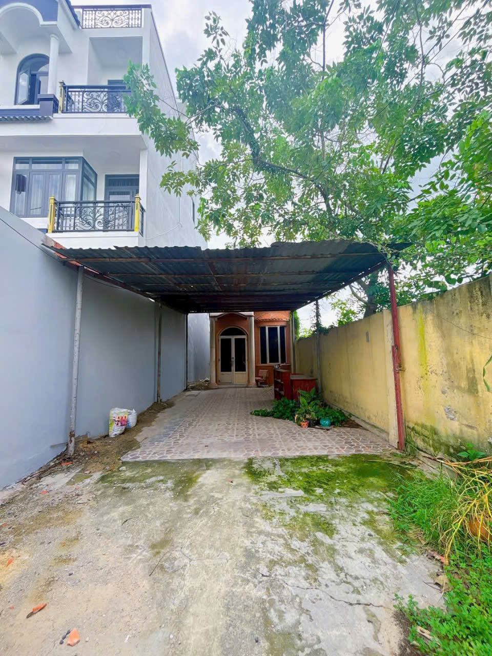 NHÀ (5X50) MẶT TIỀN NGUYỄN THỊ NGÂU, HÓC MÔN – GIÁ CHỈ 8,7 TỶ TL MẠNH - Ảnh 2