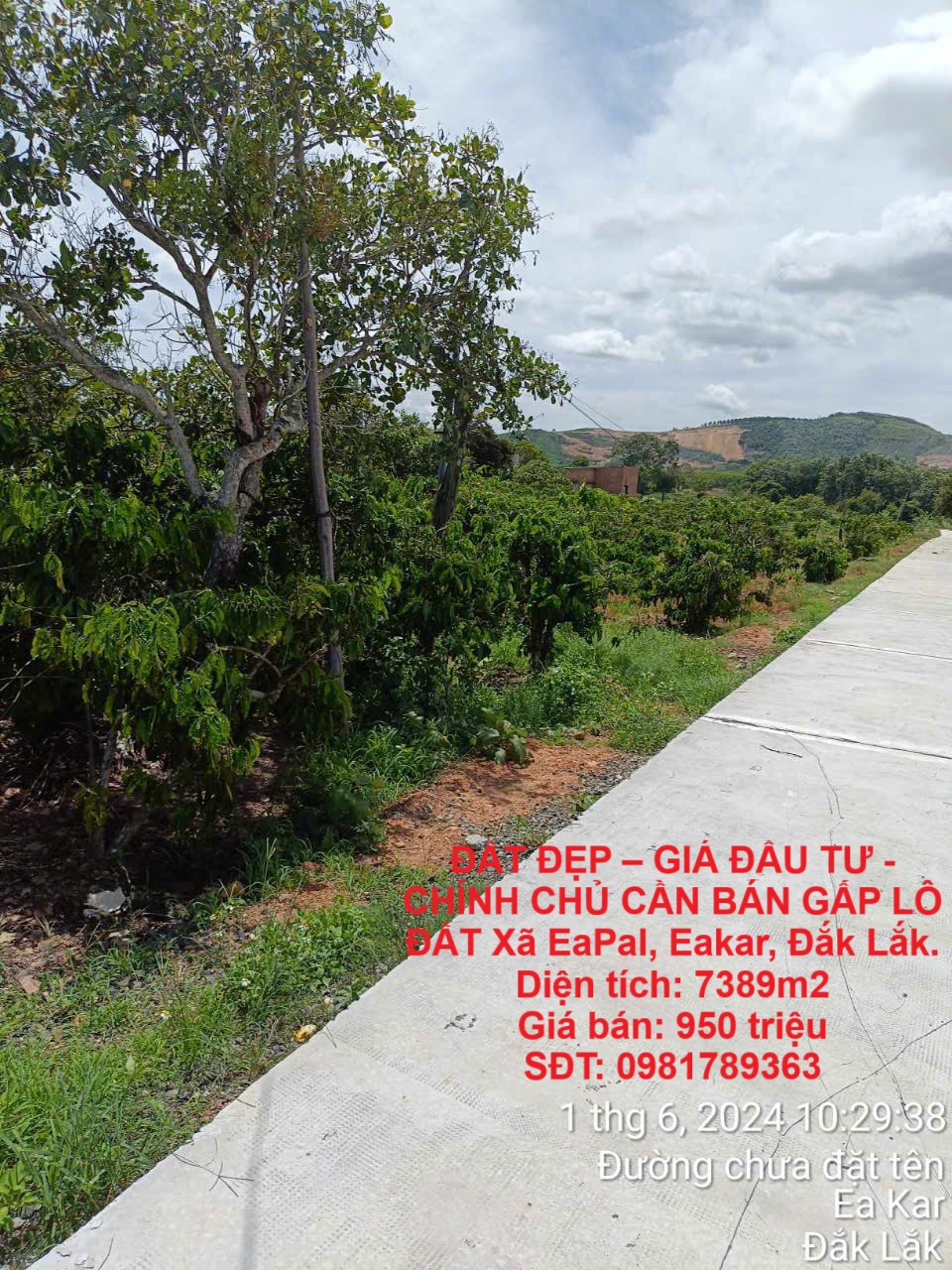 ĐẤT ĐẸP – GIÁ ĐẦU TƯ - CHÍNH CHỦ CẦN BÁN GẤP LÔ ĐẤT Xã EaPal, Eakar, Đắk Lắk. - Ảnh chính