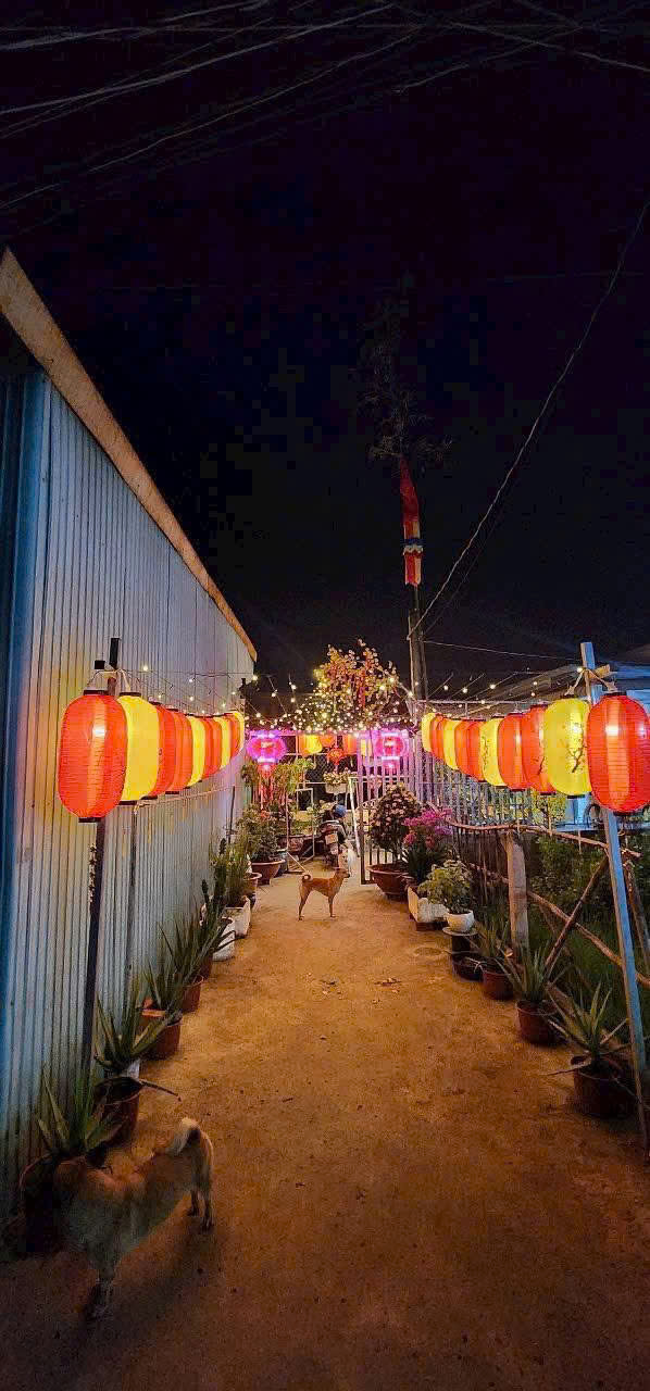 CHÍNH CHỦ CẦN BÁN NHÀ ở 325 Ấp Long Thanh, xã Long Trạch, Cần Đước, Long An - Ảnh 3