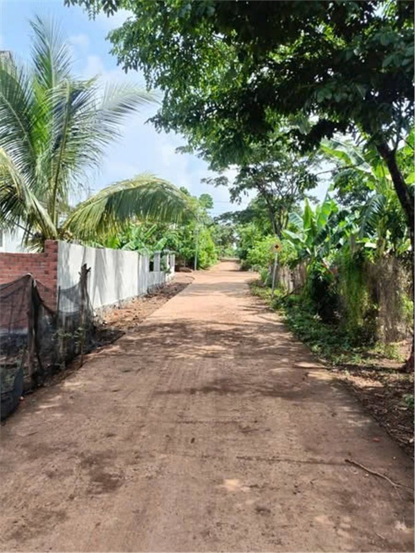 ĐẤT ĐẸP – GIÁ ĐẦU TƯ - CHÍNH CHỦ CẦN BÁN GẤP LÔ ĐẤT tại Xã Hòa Phú , TP. Buôn Ma Thuột , Đắk Lắk - Ảnh 2