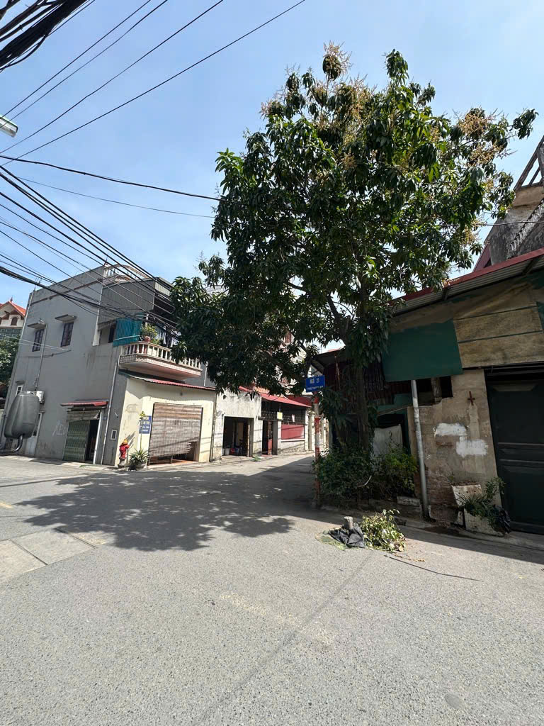 ĐẤT ĐẸP THANH AM, LONG BIÊN – 54M² GIÁ CHỈ 6,62 TỶ THƯƠNG LƯỢNG NHẸ - Ảnh chính
