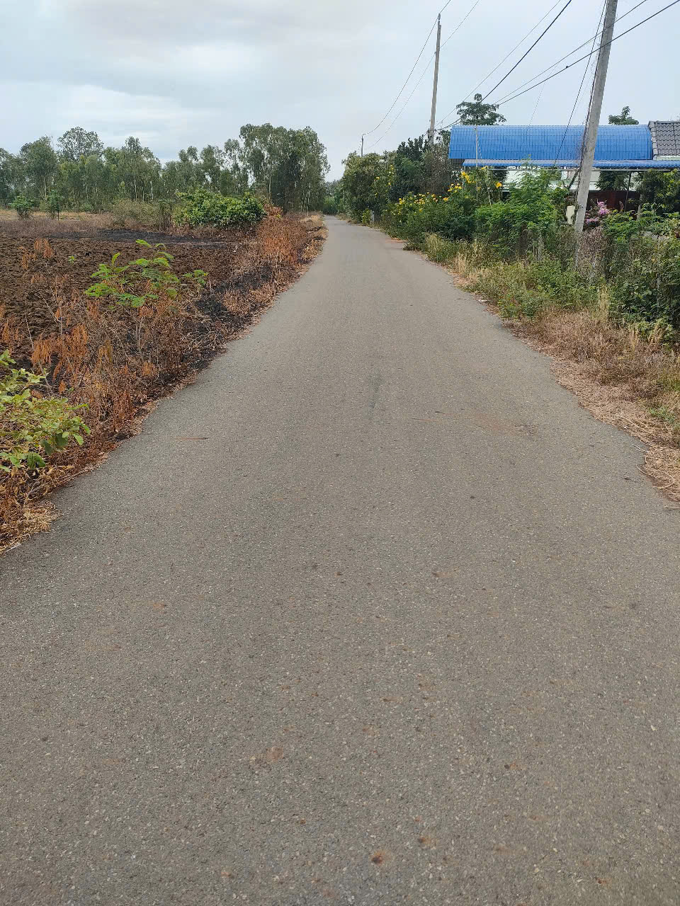 Ngang 10x48 có 80m thổ cư giá chỉ 1,2ty khu dân cư đá bạc châu Đức - Ảnh 1