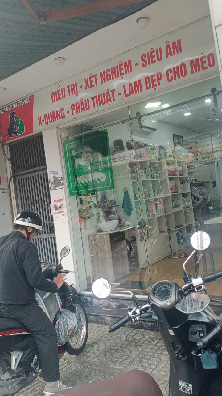 Bán nhà mặt tiền Lê Đức Thọ, P17 Gò Vấp – diện tích 123m² – kinh doanh đa ngành – giá nhỉnh 16 tỷ - Ảnh 3