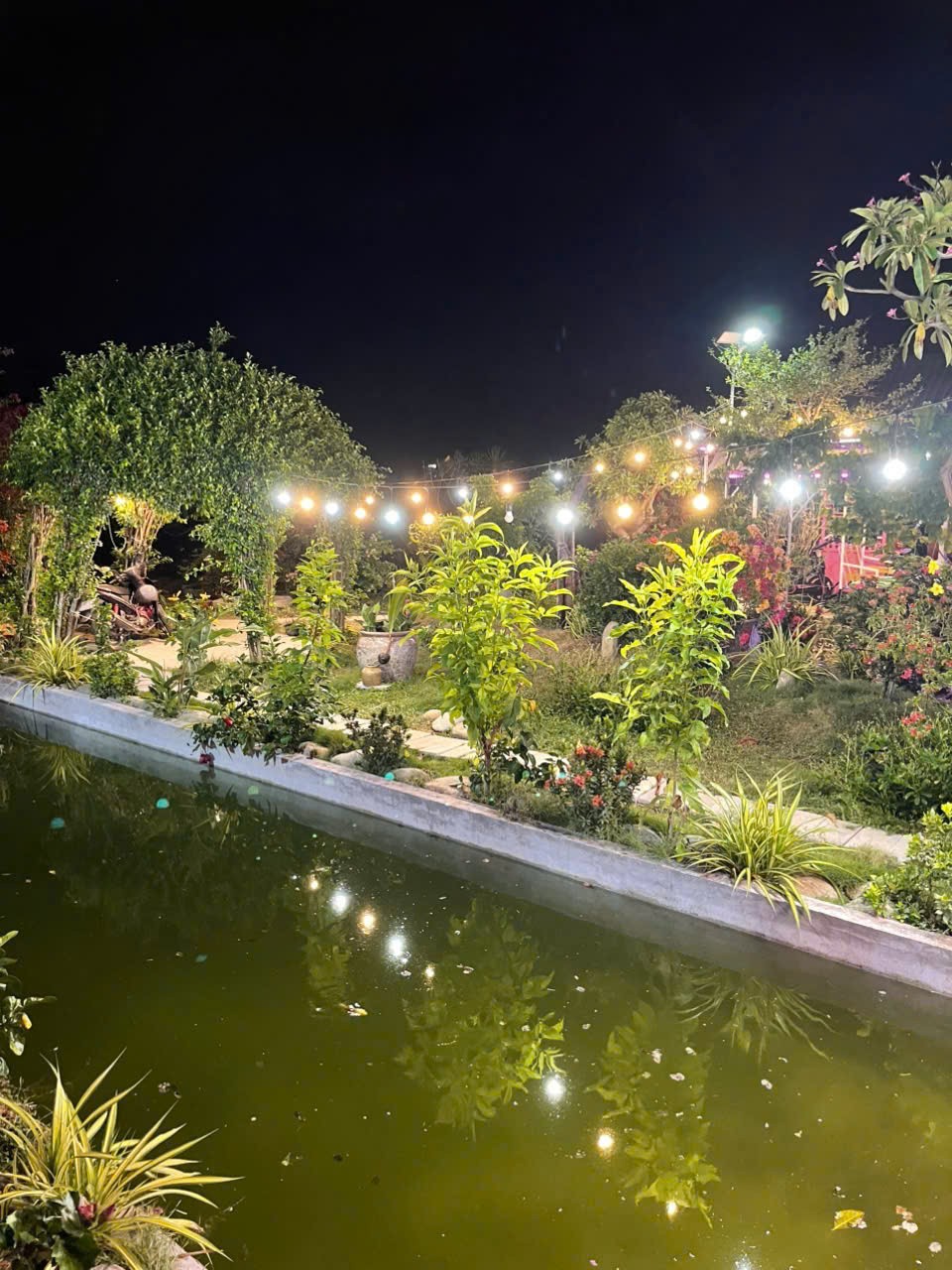 CHÍNH CHỦ CẦN BÁN Nhà Vườn Siêu Đẹp Tại Xã Hàm Cường, Hàm Thuận Nam, Bình Thuận - Ảnh 1