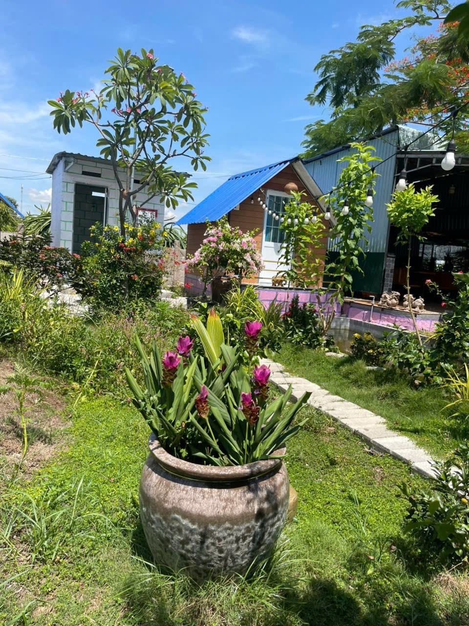 CHÍNH CHỦ CẦN BÁN Nhà Vườn Siêu Đẹp Tại Xã Hàm Cường, Hàm Thuận Nam, Bình Thuận - Ảnh 2