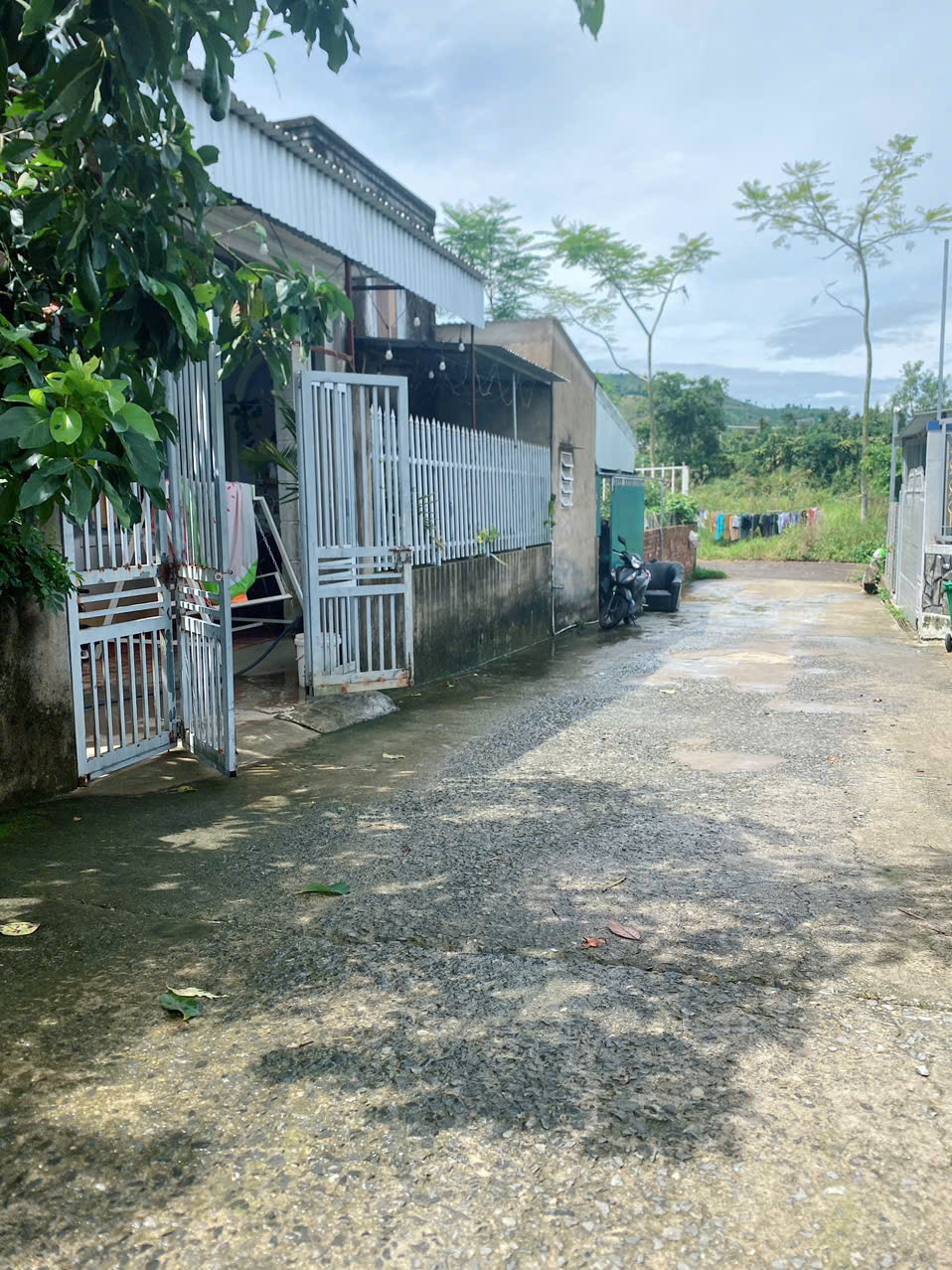 Bán Nhà Đất Chính chủ, Thổ cư 180m2 Tại 4/21 Triệu Quoang Phục,Phường B'Lao TP. Bảo Lộc, Lâm Đồng - Ảnh 2