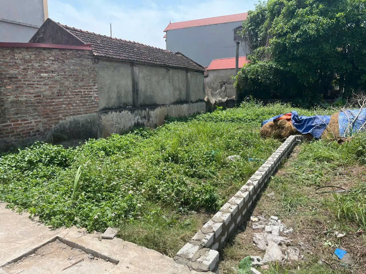 BÁN ĐẤT THÔN CỔ ĐIỂN - THANH TRÌ - Ảnh chính