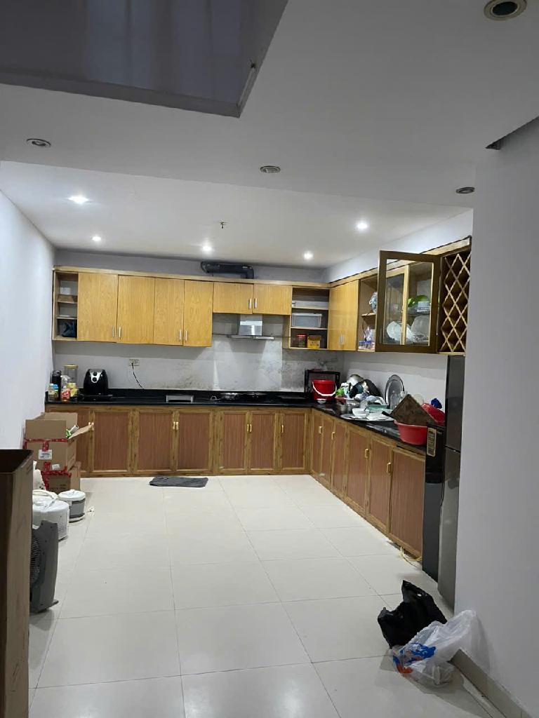 Lê Trong Tấn 52m biệt phủ thu nhỏ, đẳng cấp Vương giả - Ảnh 1