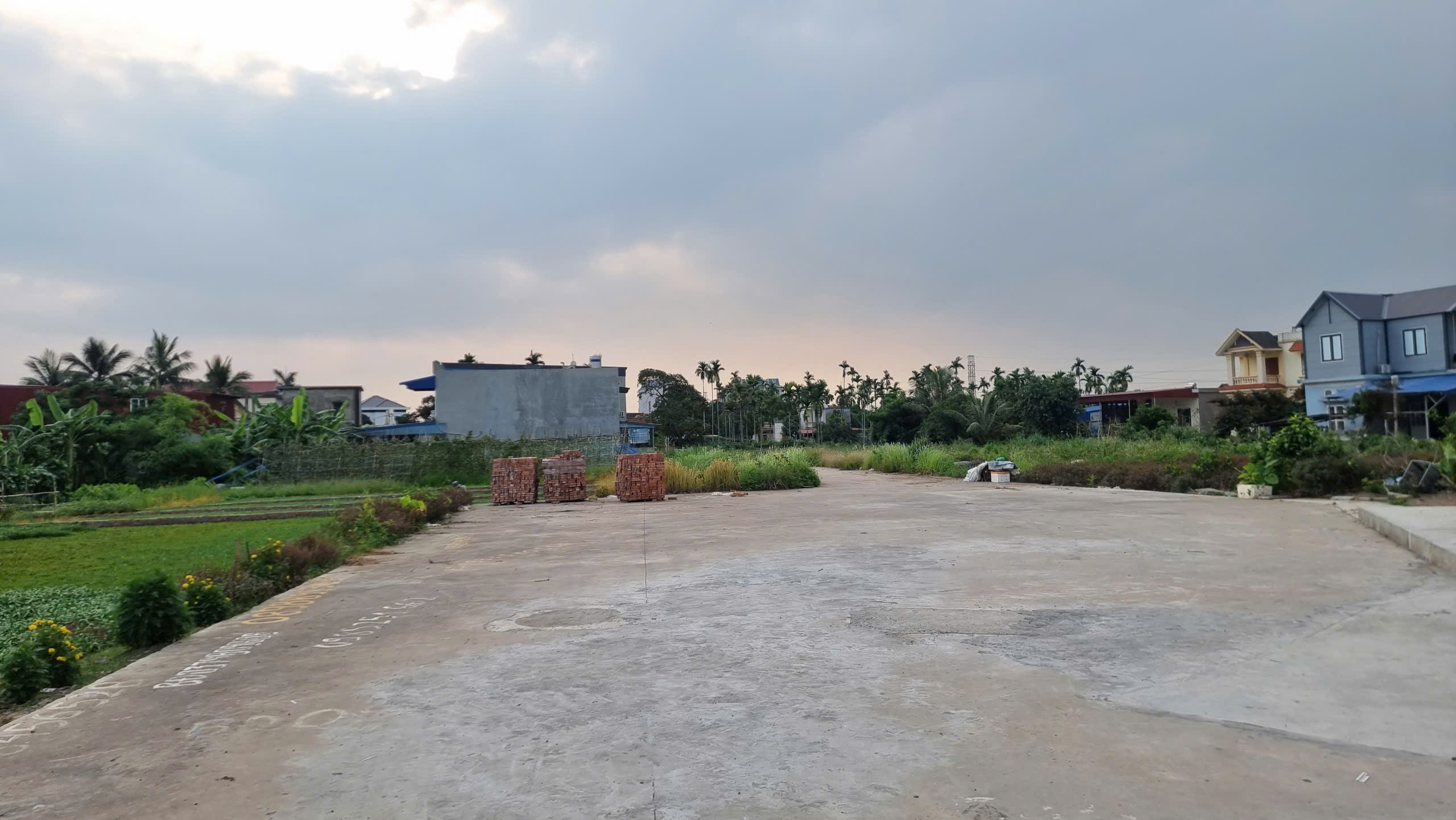 🍒 🍒 Lô đất 124,5m2 đường 6m tại Đồng Thái, An Dương, Hải Phòng - Ảnh 3