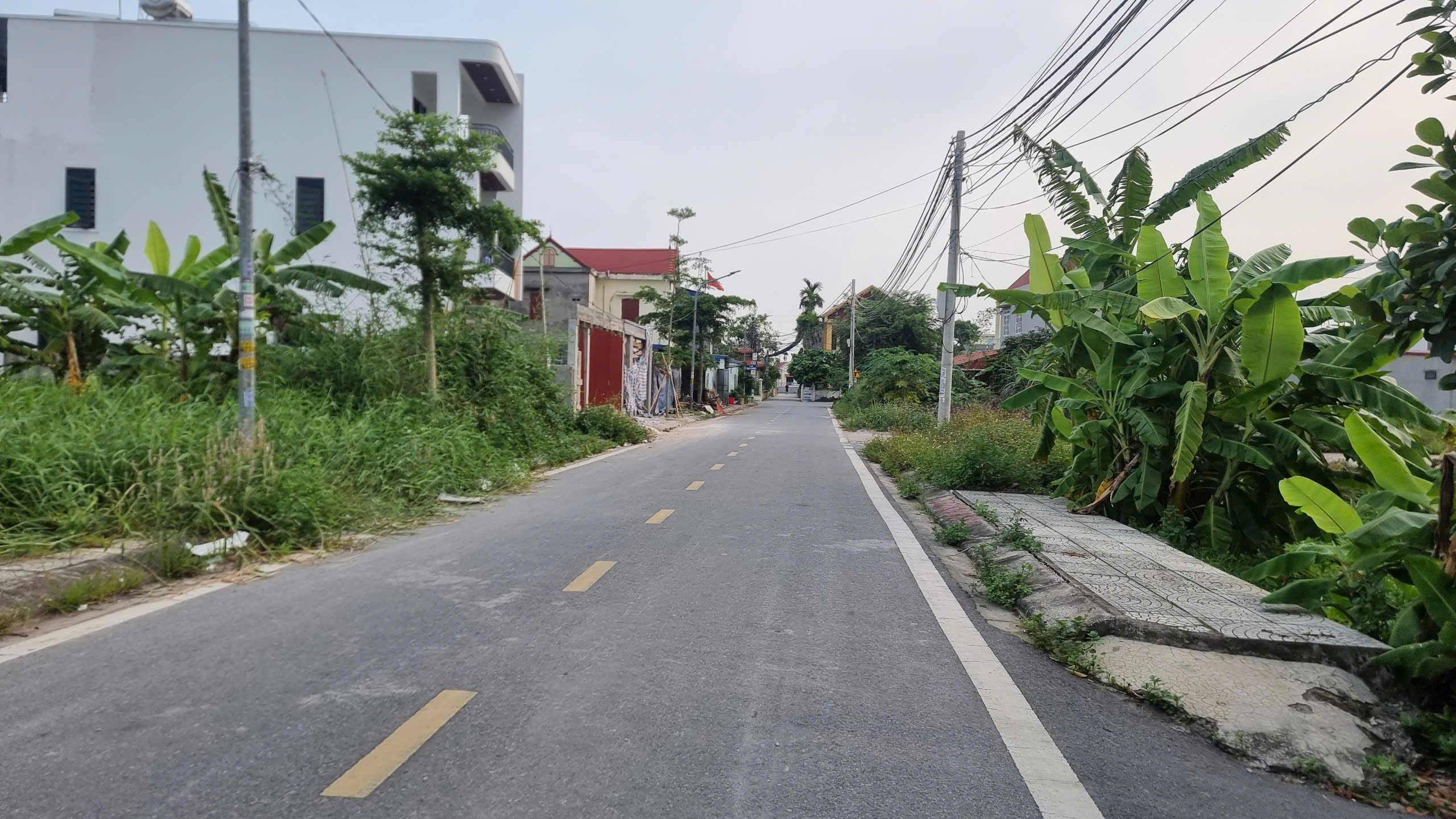 🍒 🍒 Lô đất 124,5m2 đường 6m tại Đồng Thái, An Dương, Hải Phòng - Ảnh 4
