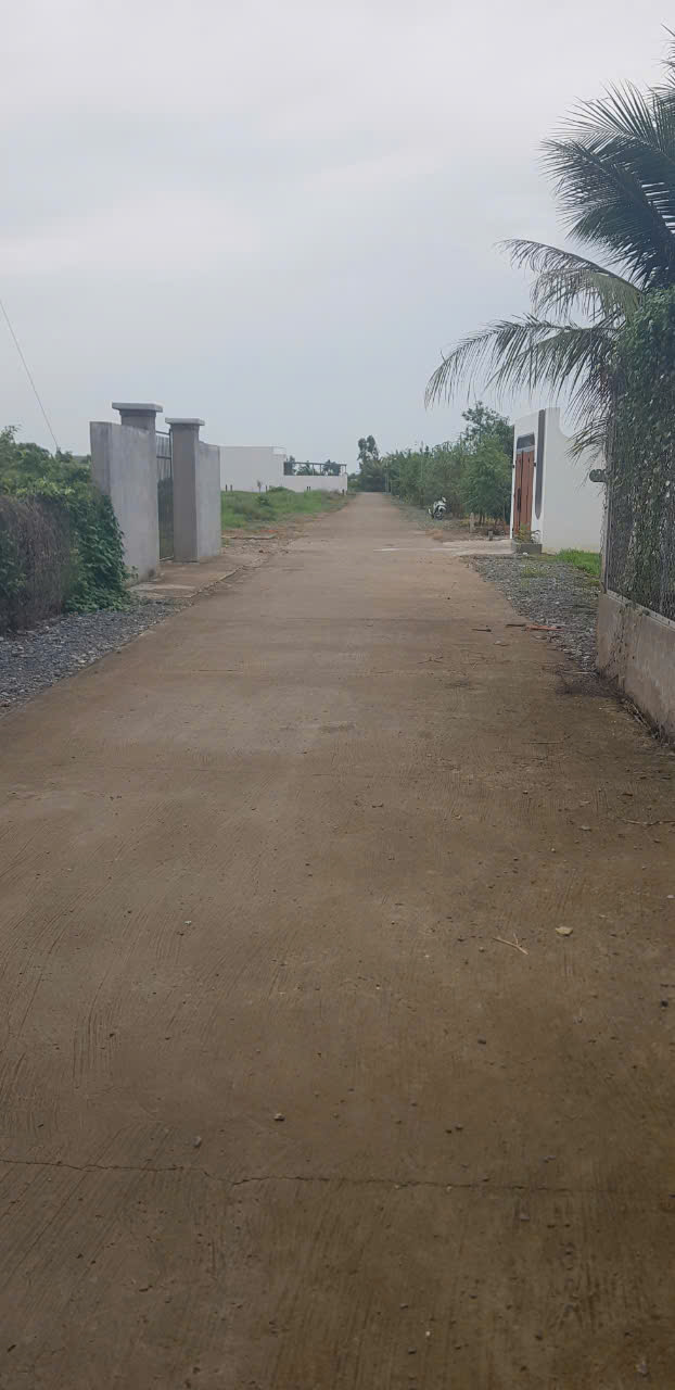 BÁN ĐẤT THỔ CƯ PHƯỜNG LONG THUẬN, TPGC, TIỀN GIANG 200M2 CHỈ 770TR. LH:0906482678. - Ảnh 2