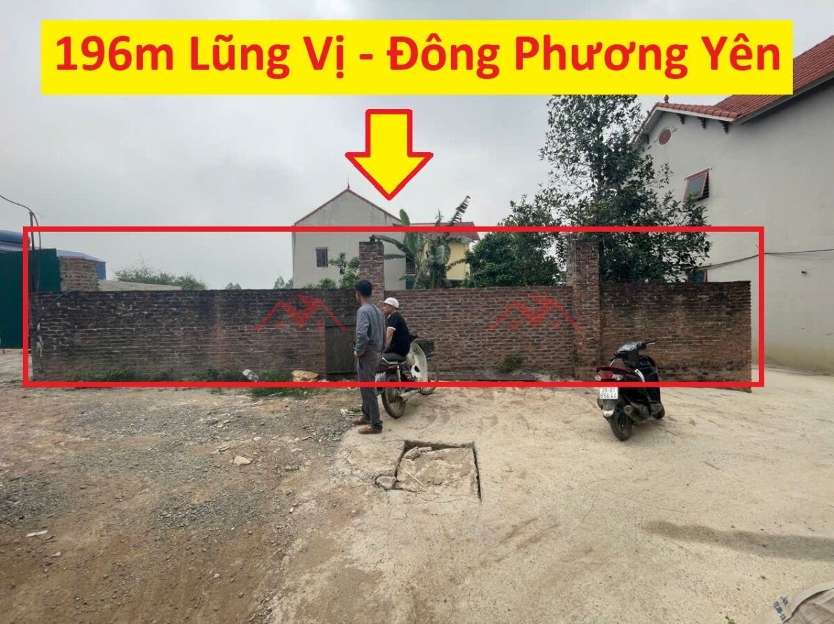 CHÍNH CHỦ BÁN LÔ ĐẤT 196M TẠI ĐÔNG PHƯƠNG YÊN-CHƯƠNG MỸ-HÀ NỘI - Ảnh chính