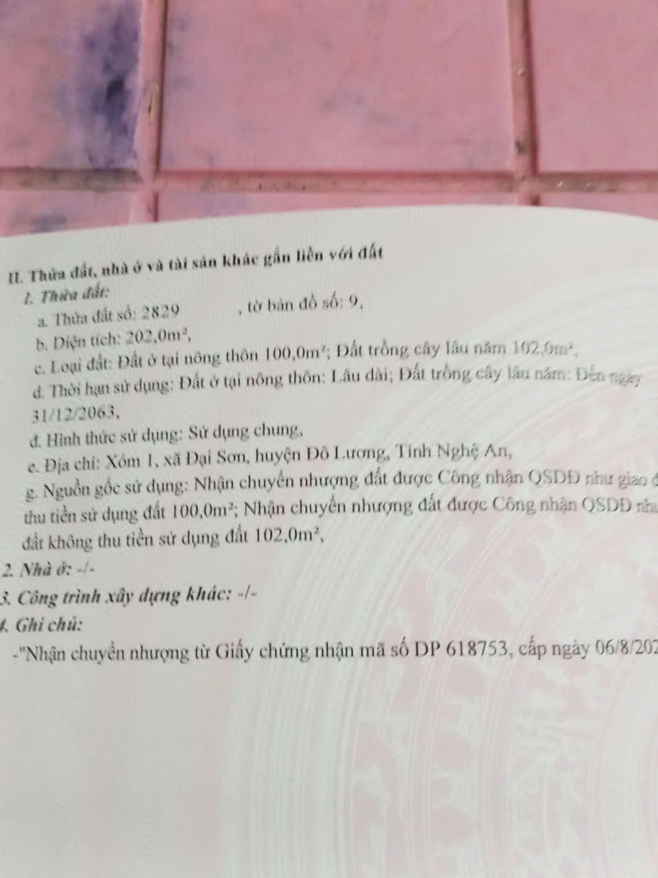 ĐẤT ĐẸP - GIÁ ĐẦU TƯ RẺ - CHÍNH CHỦ CẦN BÁN 2 Lô Đất Vị Trí Đẹp TẠI Đại Sơn, Đô lương, Nghệ An - Ảnh chính