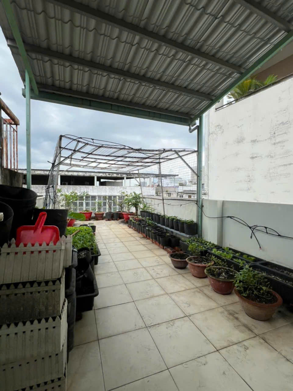 Bán gấp Mặt tiền cao xuân dục P12Q8 giá 11 tỉ - Ảnh 1