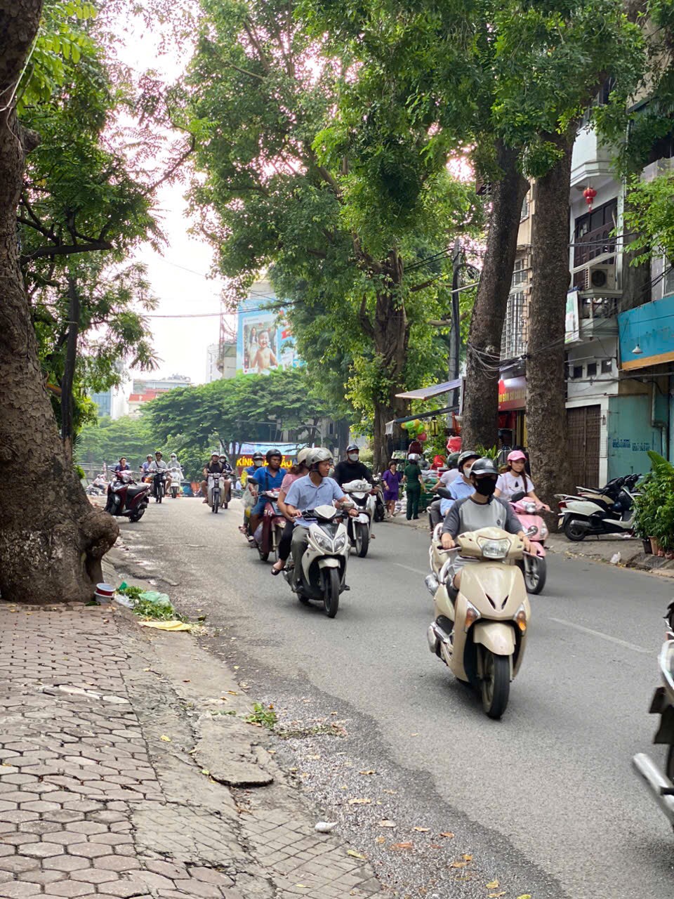 CHO THUÊ CỬA HÀNG MẶT PHỐ HOÀNG HOA THÁM - Ảnh 3