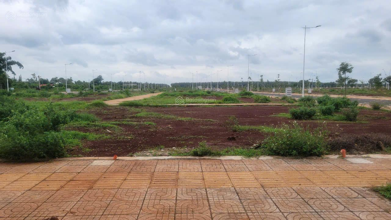 Cần bán gấp 3 lô đất tái định cư Ngãi Giao Gần trường học, chợ full thổ cư 1,3 tỷ TL mạnh - Ảnh 3