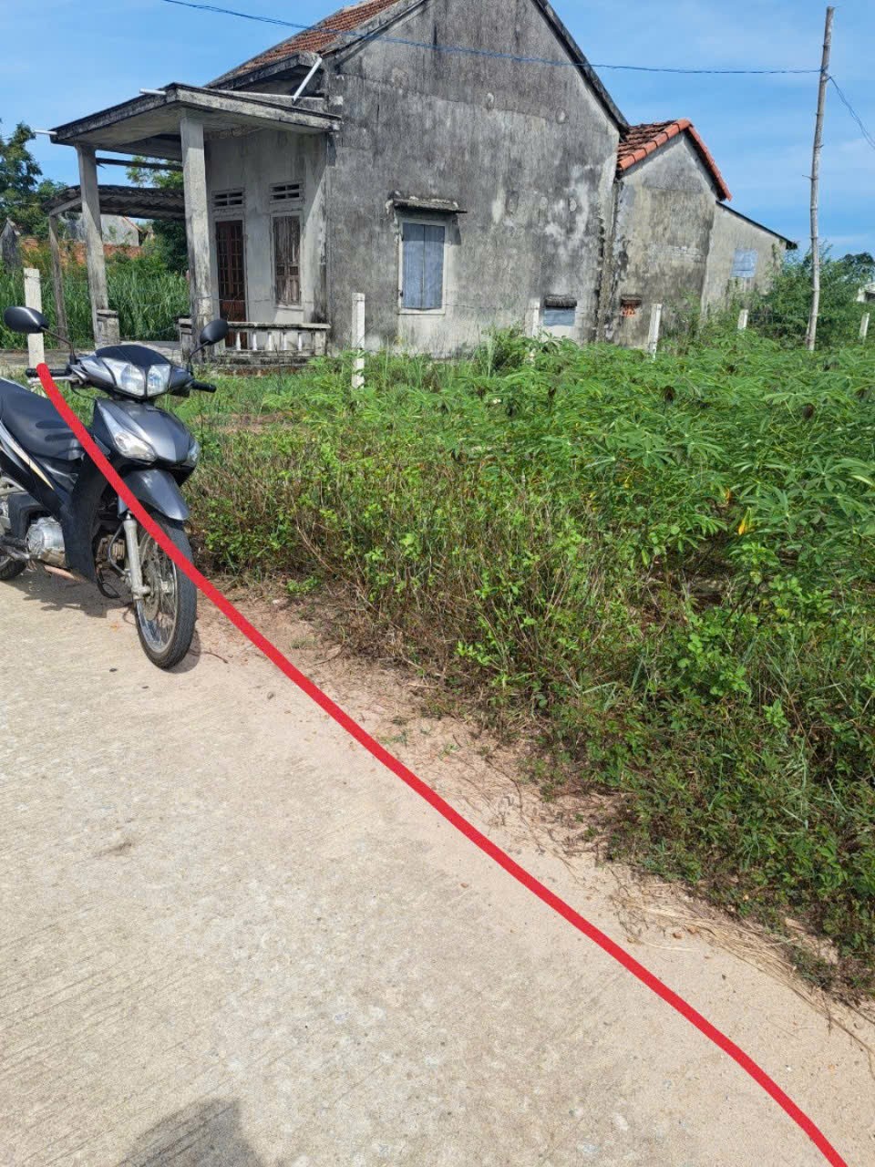 Cần bán đất nền trồng cây hằng năm tại Xã Mộ Đức, Quảng Ngãi - Ảnh 2