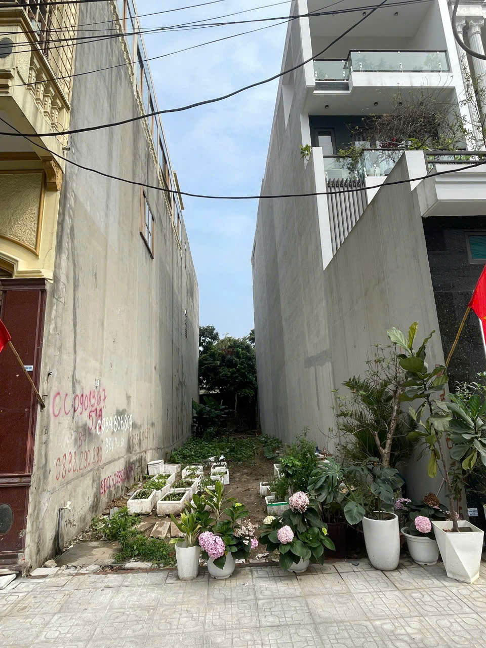 Đất phân lô tuyến 2 Trại Lẻ, 116m, đường 12m, Giá 77 tr/m gần Hoàng Huy - Ảnh 2