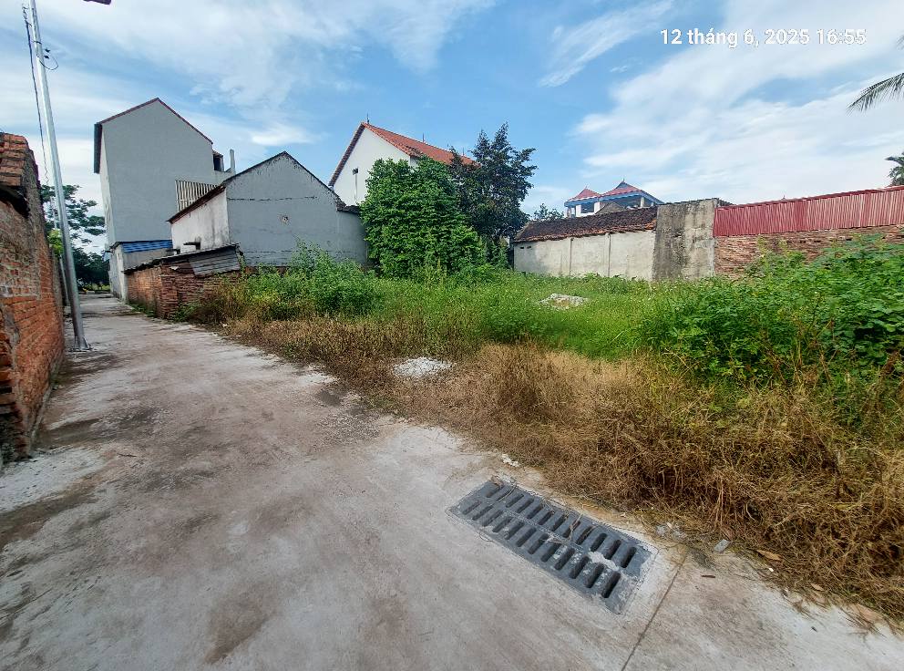 Đất Thanh Lâm 62.5m2, mt4m, ô tô, 2.15 tỷ, Mê Linh. - Ảnh 2