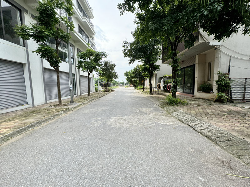 Bán Đất TĐC Trâu Quỳ 113m2: Đường 11m, Khe Thoáng, Đối Diện Shophouse Metropolitan, Sinh Lời! - Ảnh 1