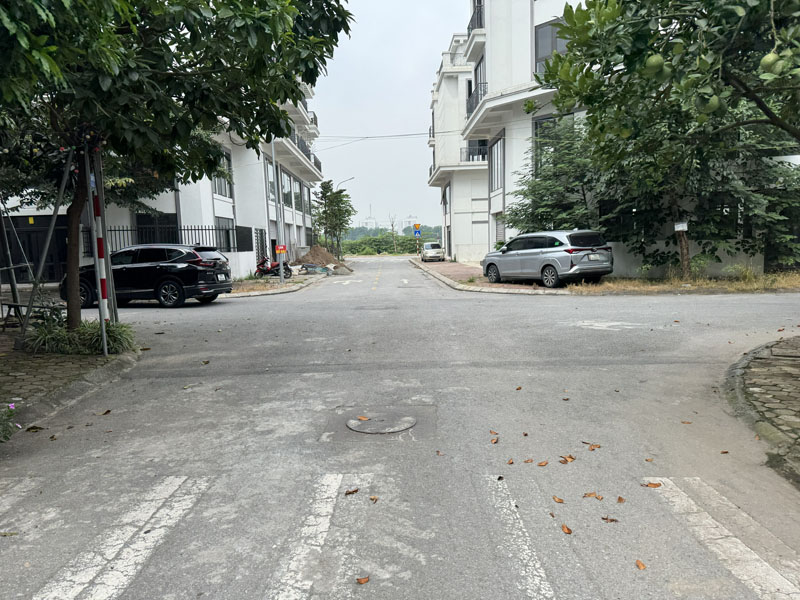 Bán Đất TĐC Trâu Quỳ 113m2: Đường 11m, Khe Thoáng, Đối Diện Shophouse Metropolitan, Sinh Lời! - Ảnh 3