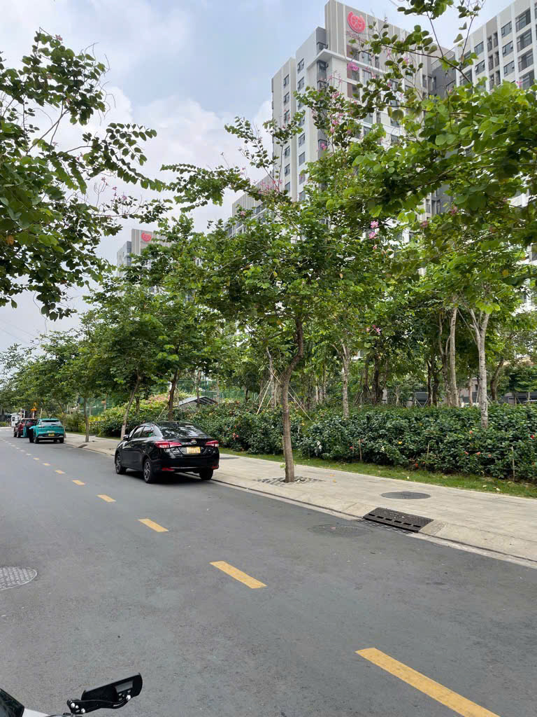 NHÀ (8.5x30) MTKD – ĐỐI DIỆN CC PICITY HIGH PARK – 255M² FULL THỔ CƯ 15 TỶ (TL) - Ảnh 3