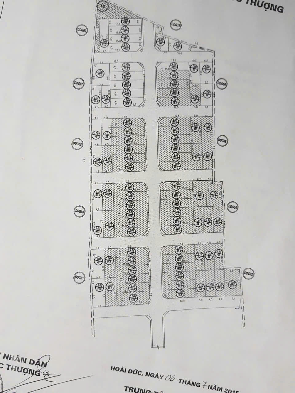 Chính chủ bán đất đấu giá Ao Ngòi Đức Thượng Hoài Đức - Ảnh 4